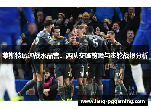 莱斯特城迎战水晶宫：两队交锋前瞻与本轮战报分析