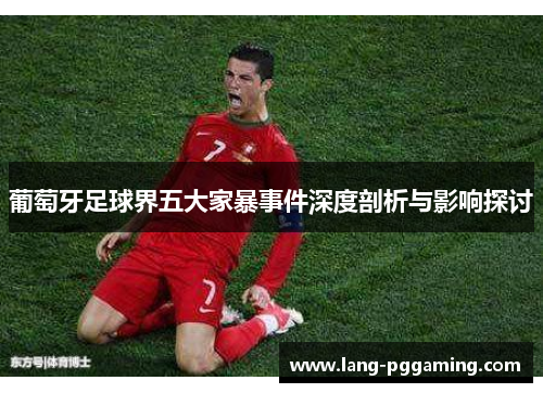 葡萄牙足球界五大家暴事件深度剖析与影响探讨